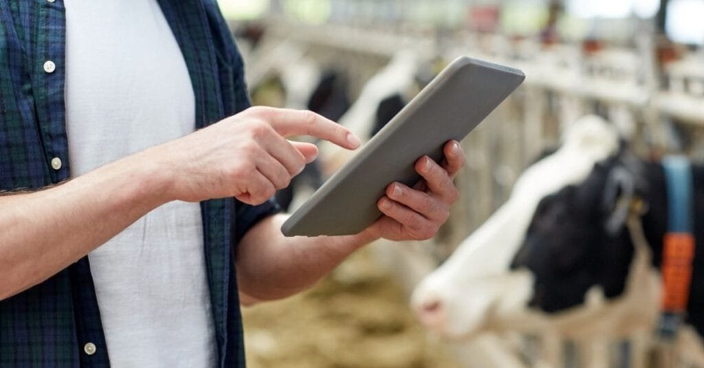 Dairy Farm Worker Jobs in Canada