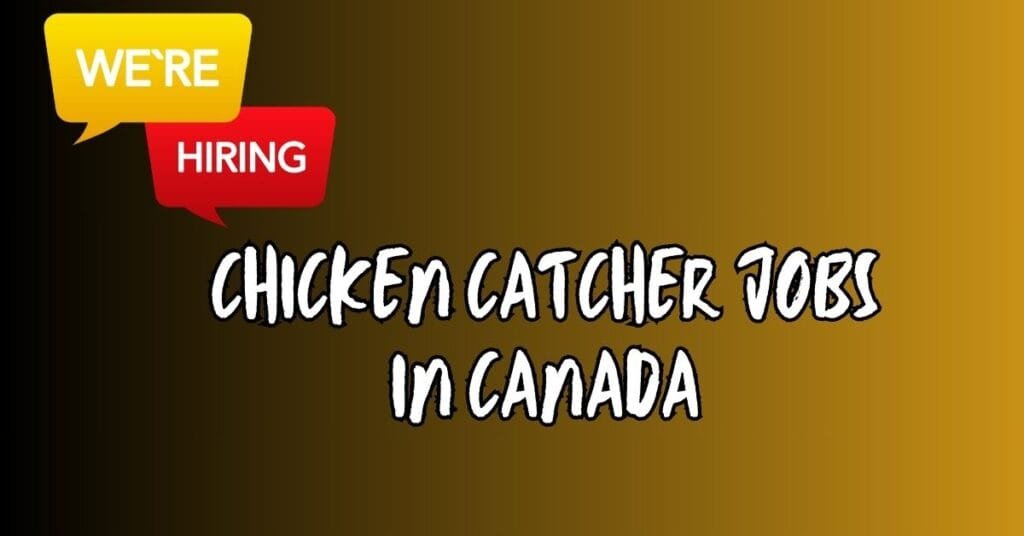 Chicken Catcher Vacancies in Canada