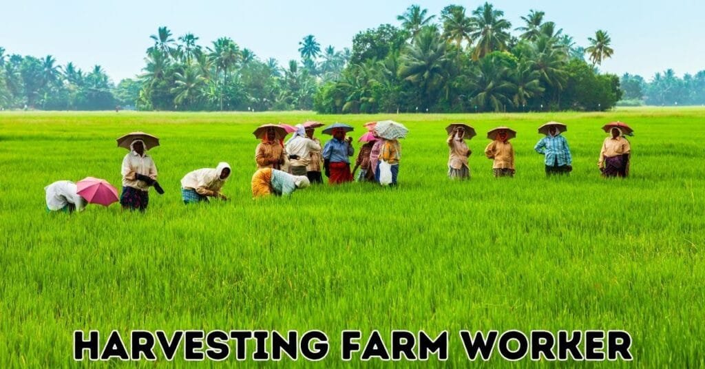 Harvesting Farm Worker Jobs in Canada