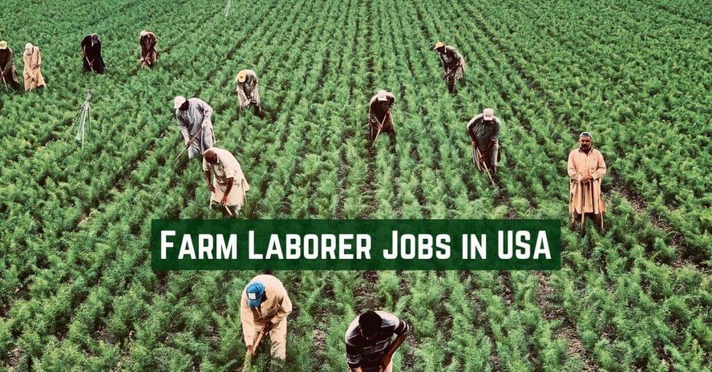 Farm Laborer Jobs in USA