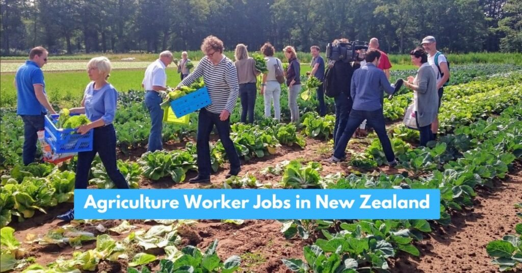 Agriculture Worker Jobs in New Zealand