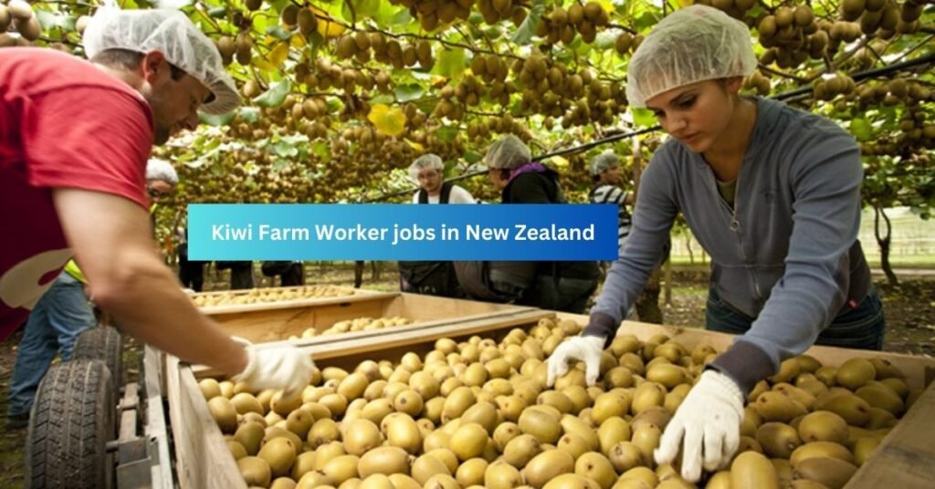 Fruit Farm Worker Jobs in New Zealand