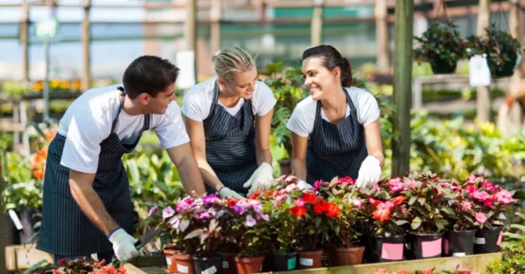 Nursery Worker Jobs in New Zealand